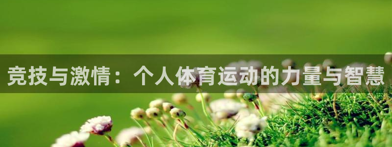 三亿体育网页版