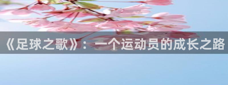 三亿体育网