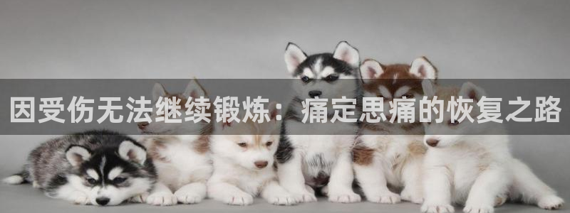 三亿体育登录