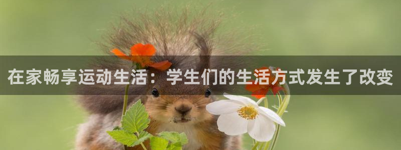 三亿体育