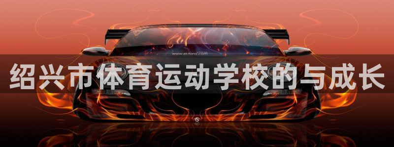 三亿体育网页版