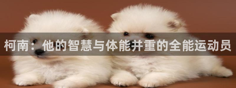 三亿体育网