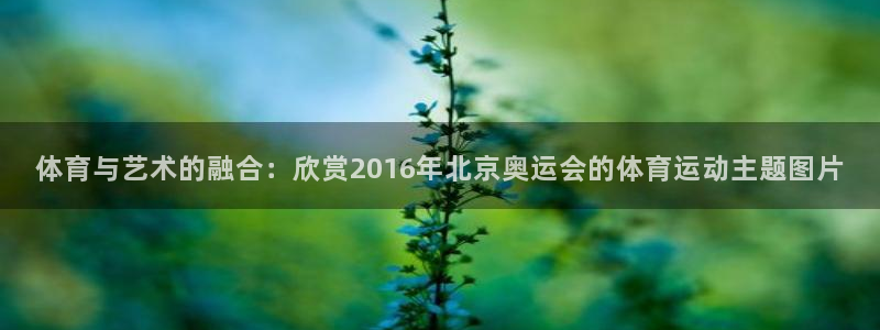 三亿体育登录