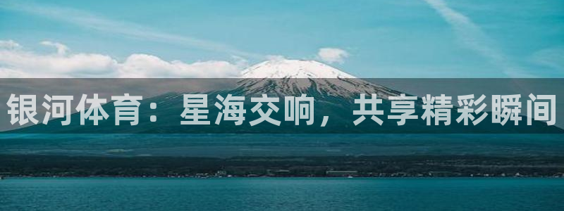 三亿体育网