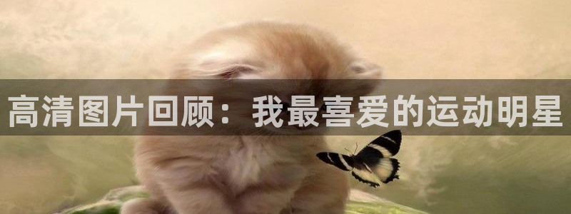 三亿体育登录