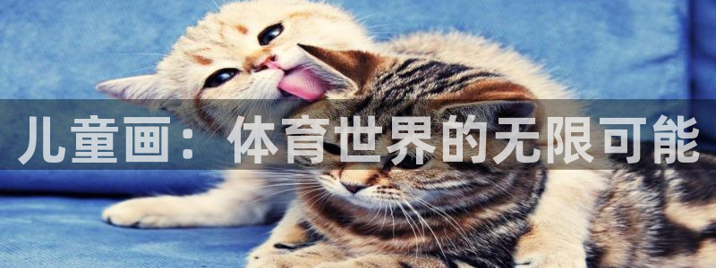 三亿体育网页版