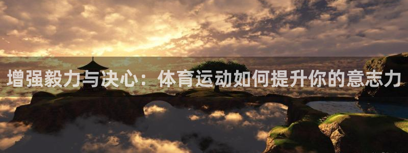 三亿体育网
