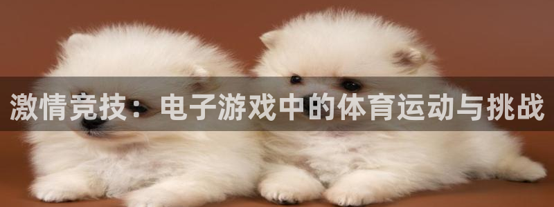 三亿体育网页版